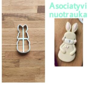 Kiškis